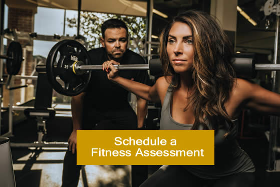 Schedule an Assessment Request - Fitness 19 LIme Kiln